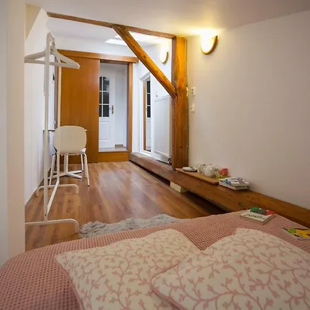 Dolni Namesti 22 Apartman *